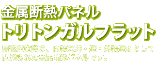 金属断熱パネルトリトンガルフラット