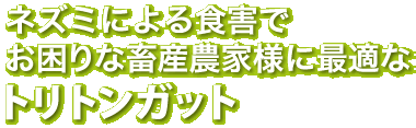 ネズミによる食害防止に最適なトリトンガット